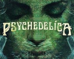 В тази изумителна поредица учените проучват историята, употребата на психеделични растения и тяхното влияние върху духовното пробуждане на човечеството.